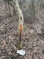  Portage Road - Photo 14
