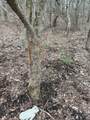  Portage Road - Photo 15