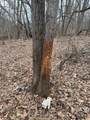  Portage Road - Photo 2