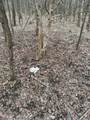  Portage Road - Photo 37