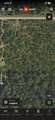 2319 38th Street - Photo 13