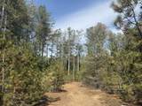 V/L Pine Acres Trail - Photo 5