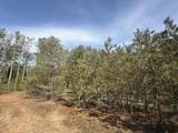 V/L Pine Acres Trail - Photo 6