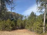 V/L Pine Acres Trail - Photo 7