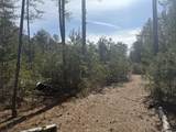 V/L Pine Acres Trail - Photo 8