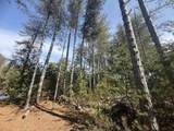 V/L Pine Acres Trail - Photo 9