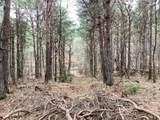 2510 Winston Road - Photo 4