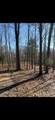 02533 53rd Street - Photo 14