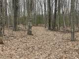 V/L Deer Track Trail - Photo 1