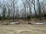 V/L Deer Track Trail - Photo 2