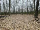 V/L Deer Track Trail - Photo 4
