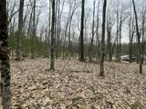 V/L Deer Track Trail - Photo 5