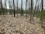 V/L Deer Track Trail - Photo 6