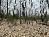 V/L Deer Track Trail - Photo 8