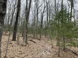 V/L Deer Track Trail - Photo 9