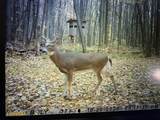 40+/- Acres 48th Street - Photo 35