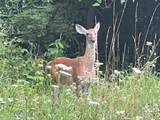 0000 Oak Ridge Hills - Photo 2