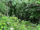 0000 Oak Ridge Hills - Photo 5
