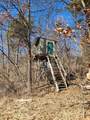12 Mile Road - Photo 7