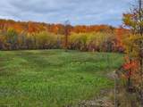152 acres Miller Road - Photo 17