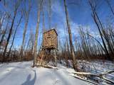 152 acres Miller Road - Photo 24