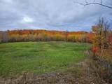 152 acres Miller Road - Photo 28