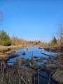 152 acres Miller Road - Photo 5