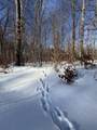 152 acres Miller Road - Photo 52