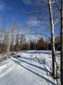 152 acres Miller Road - Photo 67