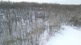 80 acres Galbrith Road - Photo 22