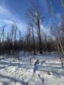 80 acres Galbrith Road - Photo 41