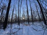 80 acres Galbrith Road - Photo 58