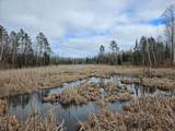 72 acres Miller Road - Photo 13