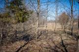 300 Woodstock Street - Photo 47