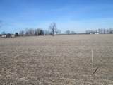 V/L Lemon Creek Road - Photo 3