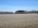 V/L Lemon Creek Road - Photo 2