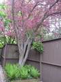 19 Westbury Court - Photo 84
