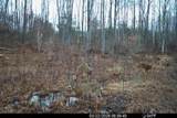 15726 30th Avenue - Photo 23