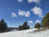 5850 Deer Run Trail - Photo 1