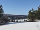 5850 Deer Run Trail - Photo 2
