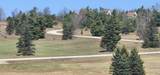 5850 Deer Run Trail - Photo 25