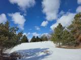 5850 Deer Run Trail - Photo 3