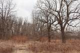  Sparling & Mayer Road - Photo 13