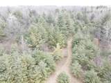  4 Mile Road - Photo 12