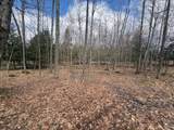  4 Mile Road - Photo 13