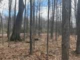  4 Mile Road - Photo 15