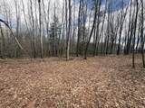 4 Mile Road - Photo 16