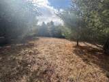  4 Mile Road - Photo 21