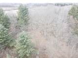  4 Mile Road - Photo 24