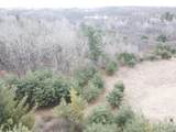  4 Mile Road - Photo 25